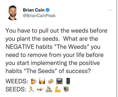 SEEDS>WEEDS , what a